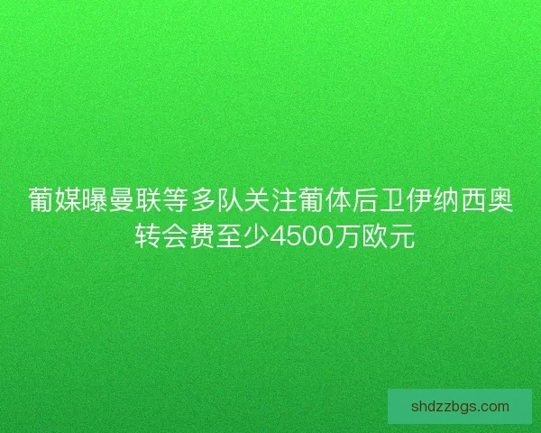 葡媒曝曼联等多队关注葡体后卫伊纳西奥 转会费至少4500万欧元
