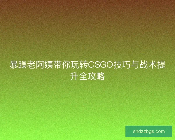 暴躁老阿姨带你玩转CSGO技巧与战术提升全攻略