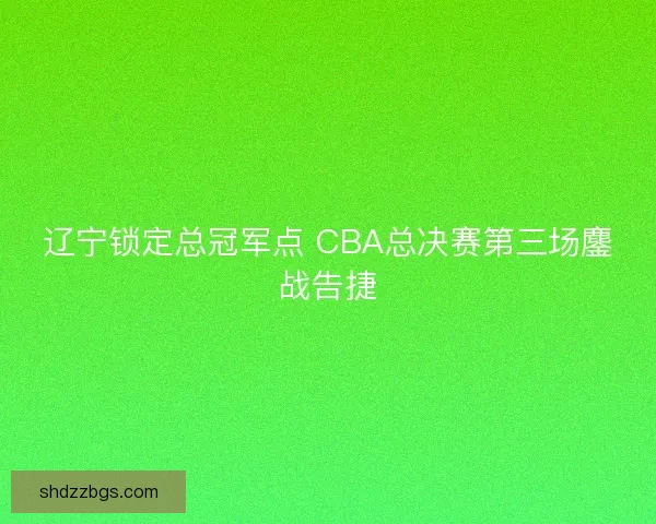 辽宁锁定总冠军点 CBA总决赛第三场鏖战告捷