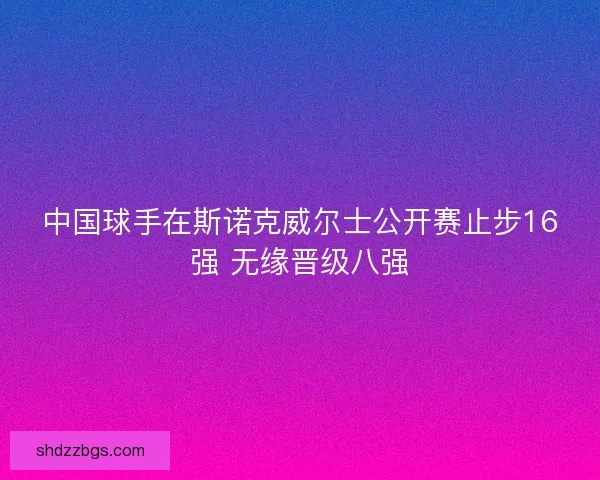 中国球手在斯诺克威尔士公开赛止步16强 无缘晋级八强 中国球手在斯诺克威尔士公开赛止步16强 无缘晋级八强